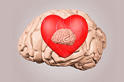 רגשות הם פיקציה