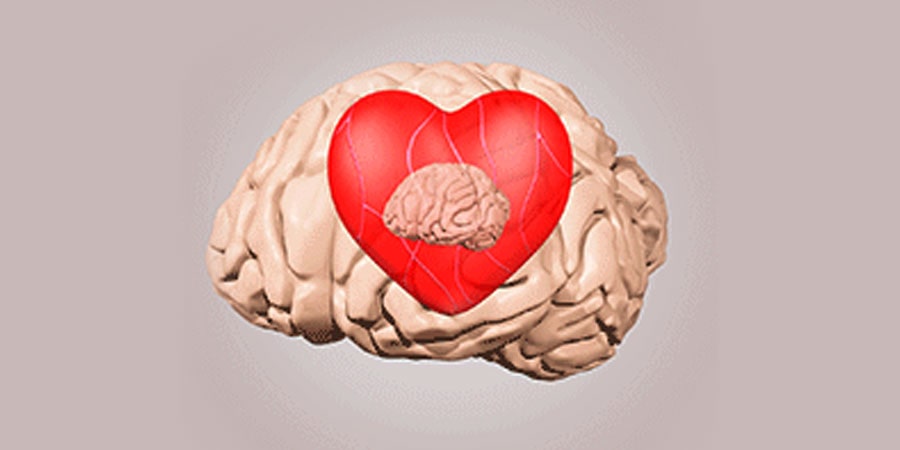 רגשות הם פיקציה