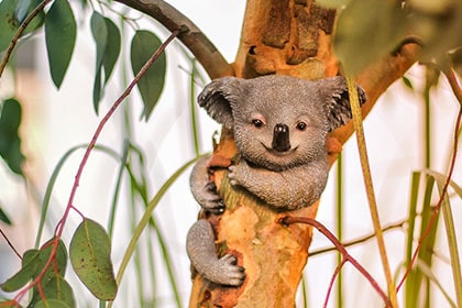 שביעות רצון תעסוקתית