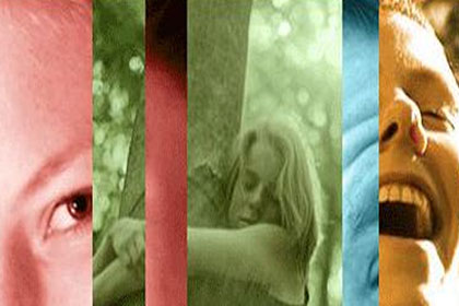 סינרגיה פנים וחוץ ארגוני