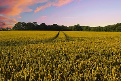 המנוע הקארמתי